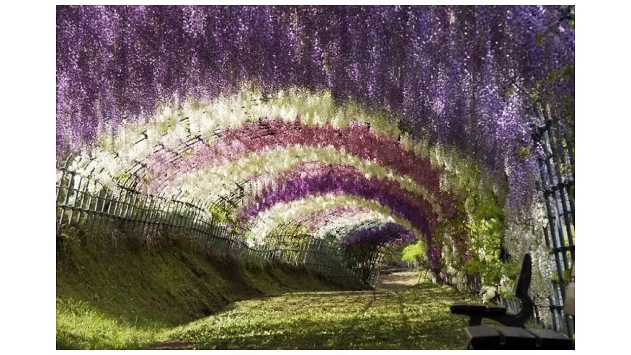 Hilarious Hindi Video Clips 😂 | Best Funny Moments Compilation