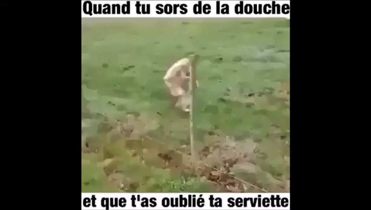 Quand tu sors du bain et que t'as oublié ta serviette!
