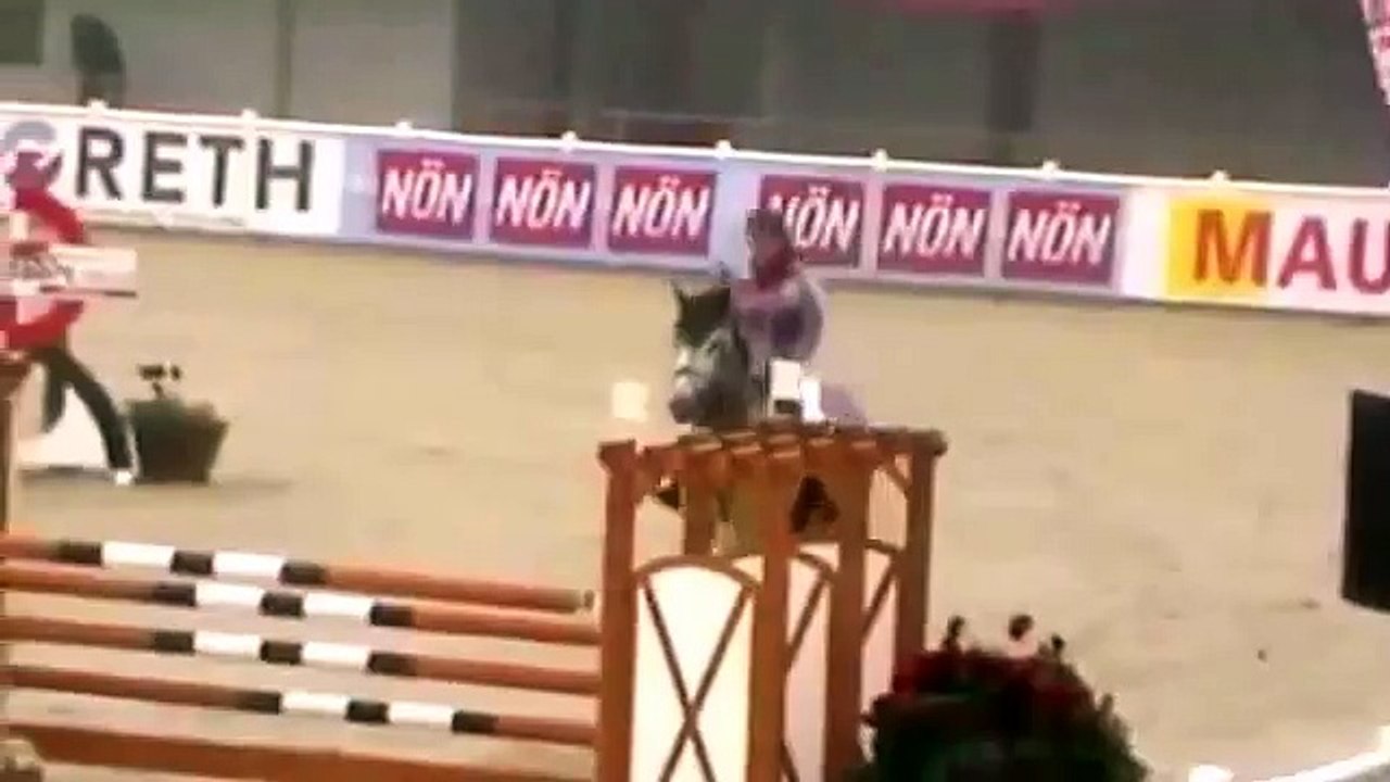 Boogieman - 1.40m 8 yr Showjumping Horse for Sale