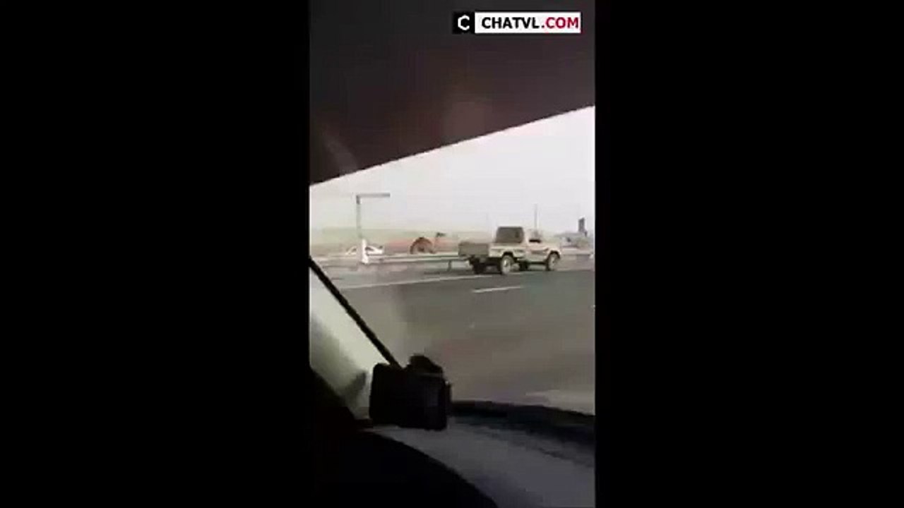 Funny dubai videos   Funny dubai   Funny dubai pranks