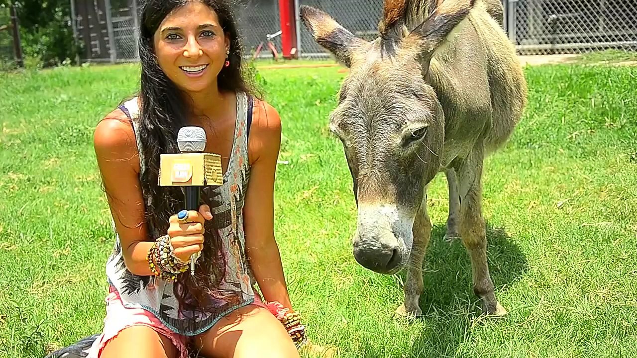 Why Vegan Is Important