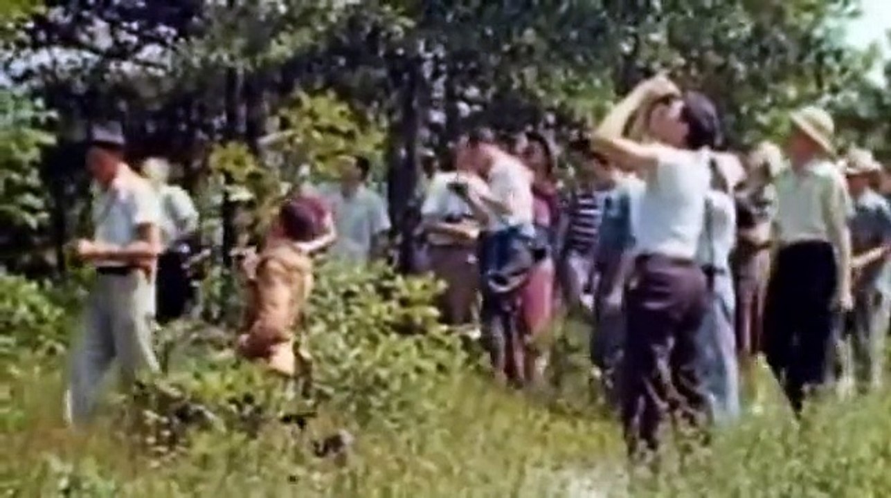 All Watched Over by Machines  - The Use and Abuse of Vegetational Concepts