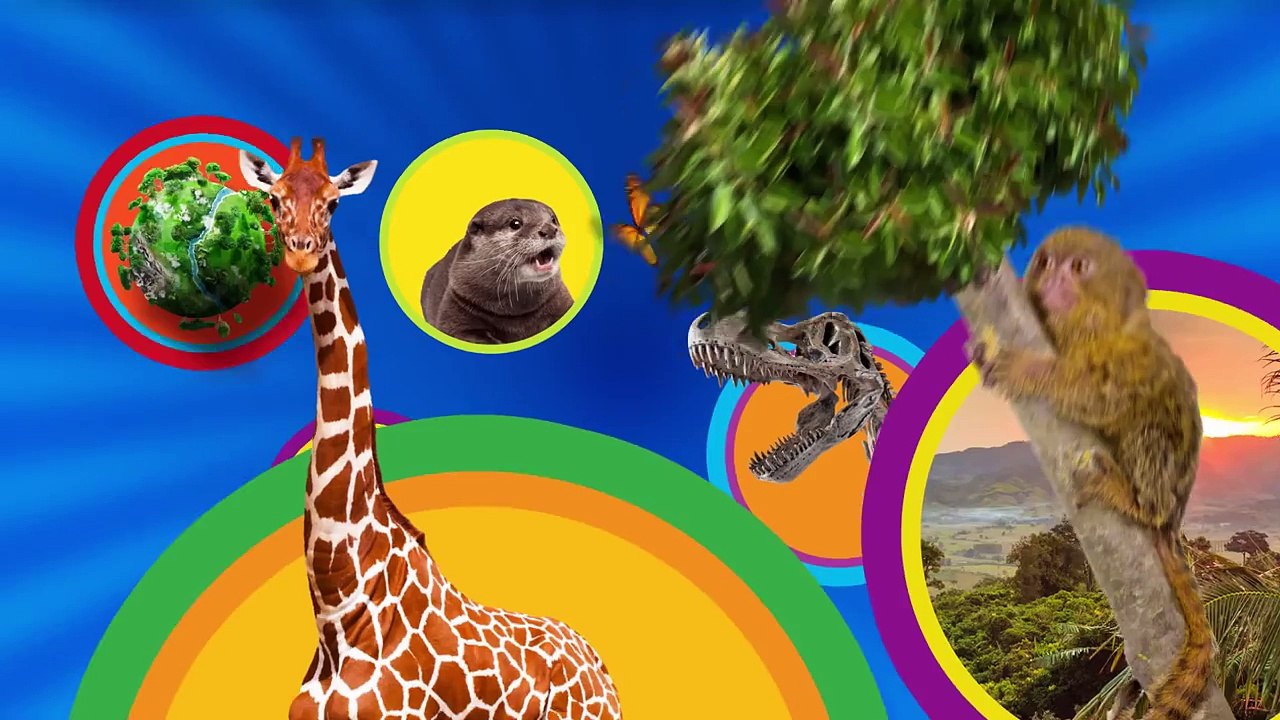 Nat Geo Kids Intro to Dinos
