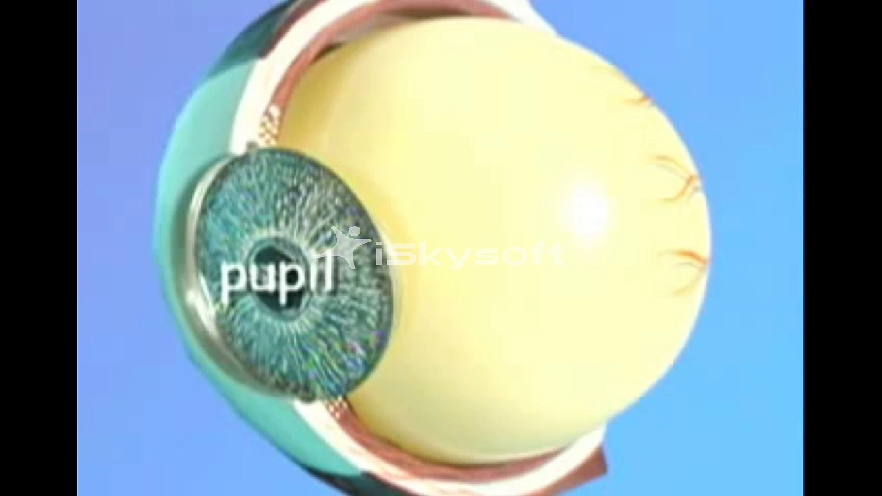 How can you develop your eye vision with natural exercise