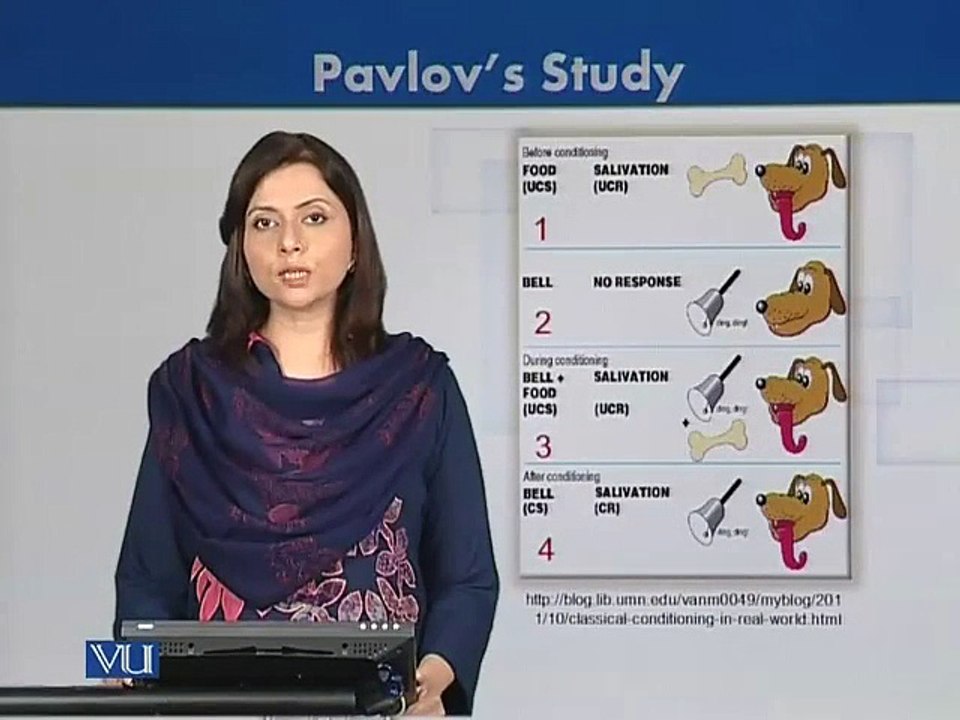 Pavlov's Classical Conditioning Study 🐶