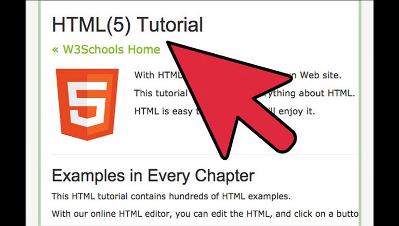 How to Become a Professional Web Designer and Programmer