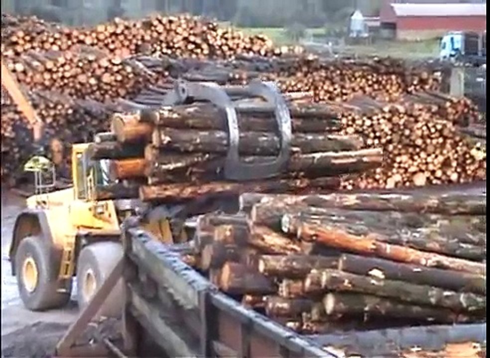 Conversion of Timber