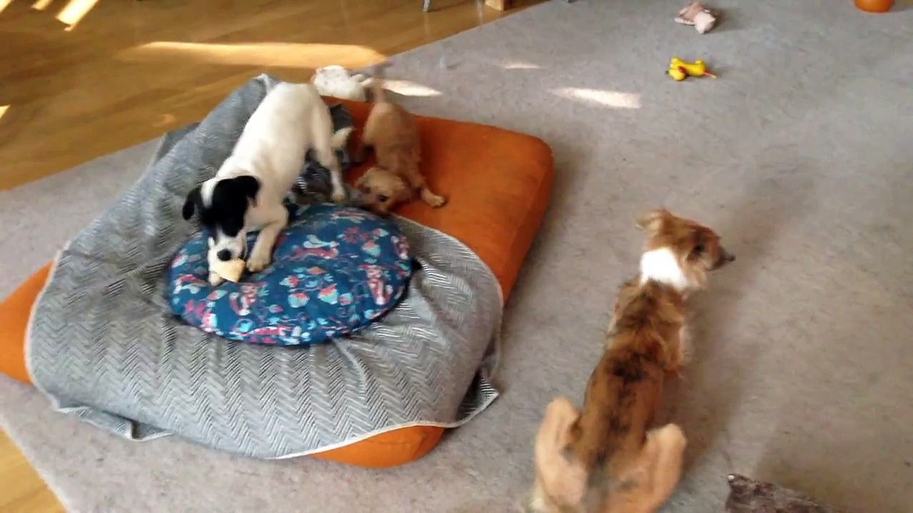 Exciting Action Moments 🚀