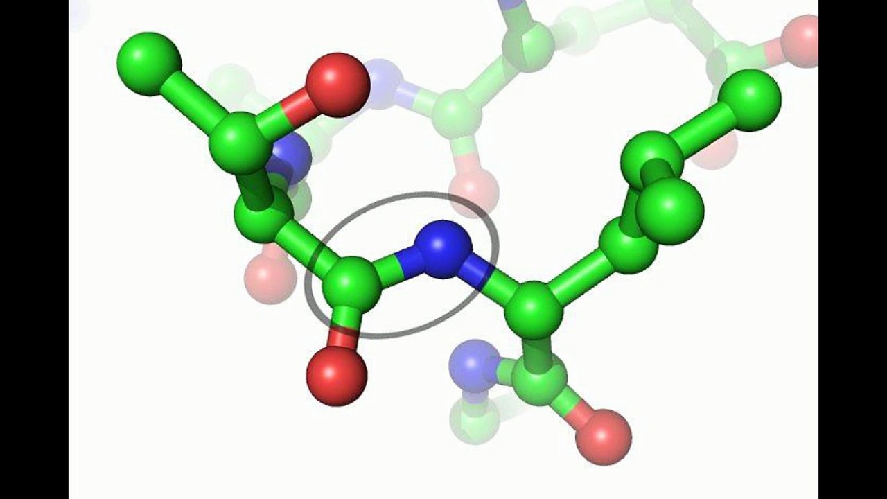What Is IGF1-LR3? A Brief Overview