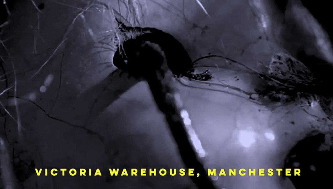 Vevo - Vevo Halloween 2014 - Ticket Announcement