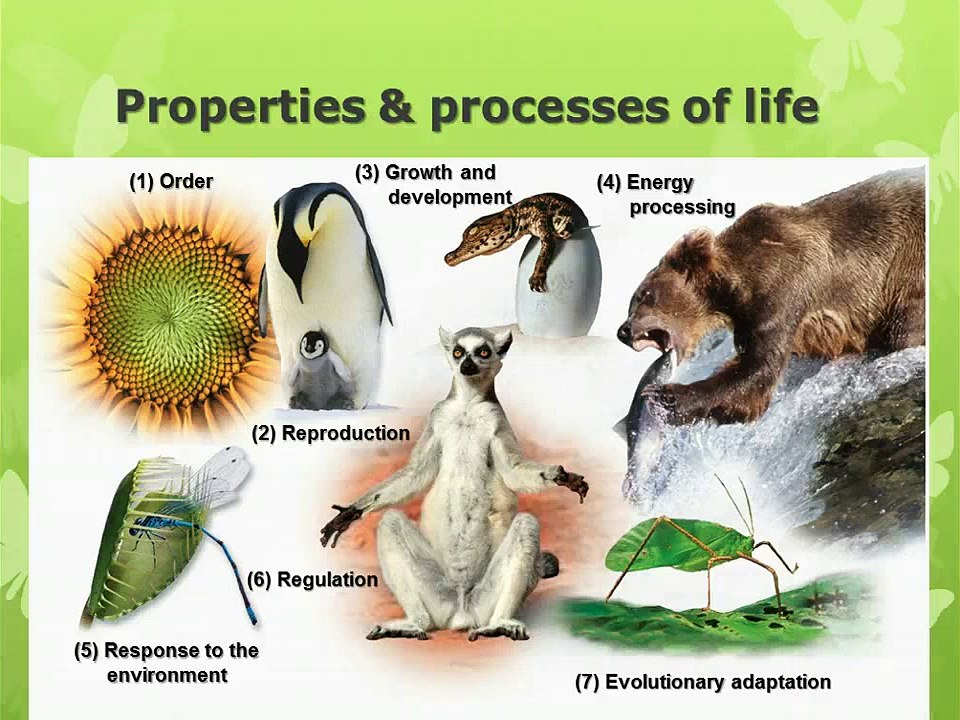 Exploring Life - Characteristics of Living Things