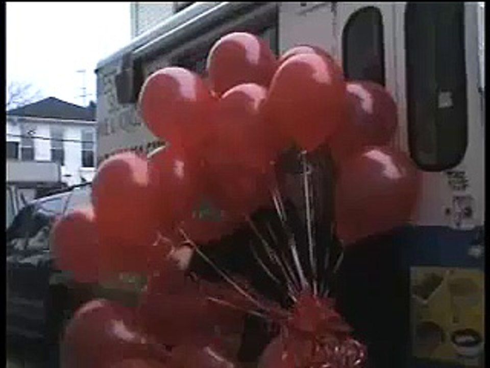 THE ICE CREAM GIRL'S POP POP POP POP POPS..........