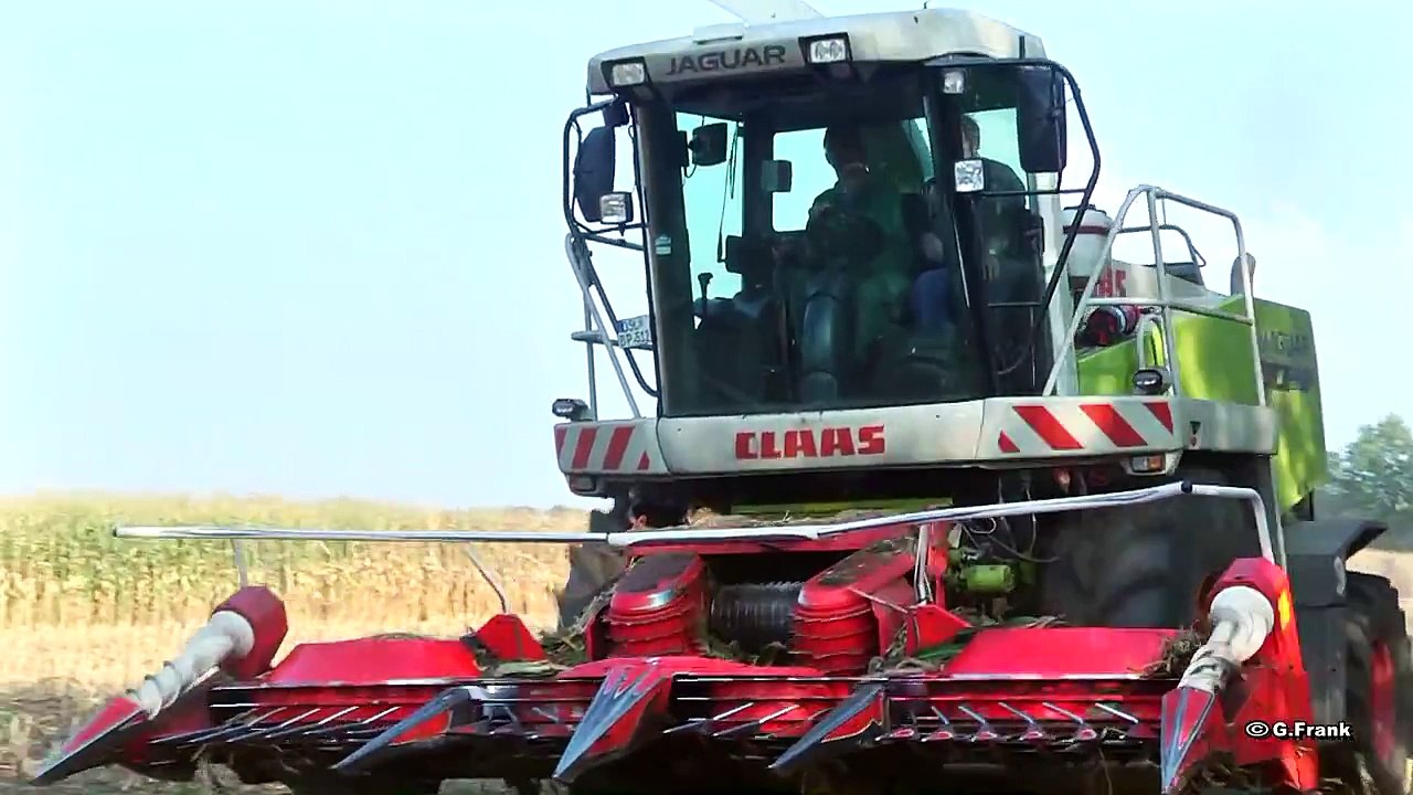 DDR Landmaschinen IFA W 50 LAZ in der Maisernte