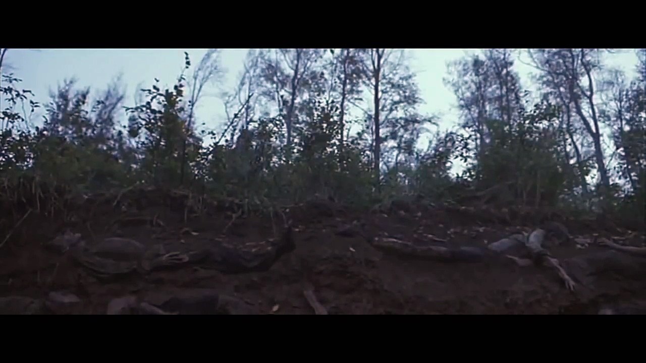 (Behind Enemy Lines)