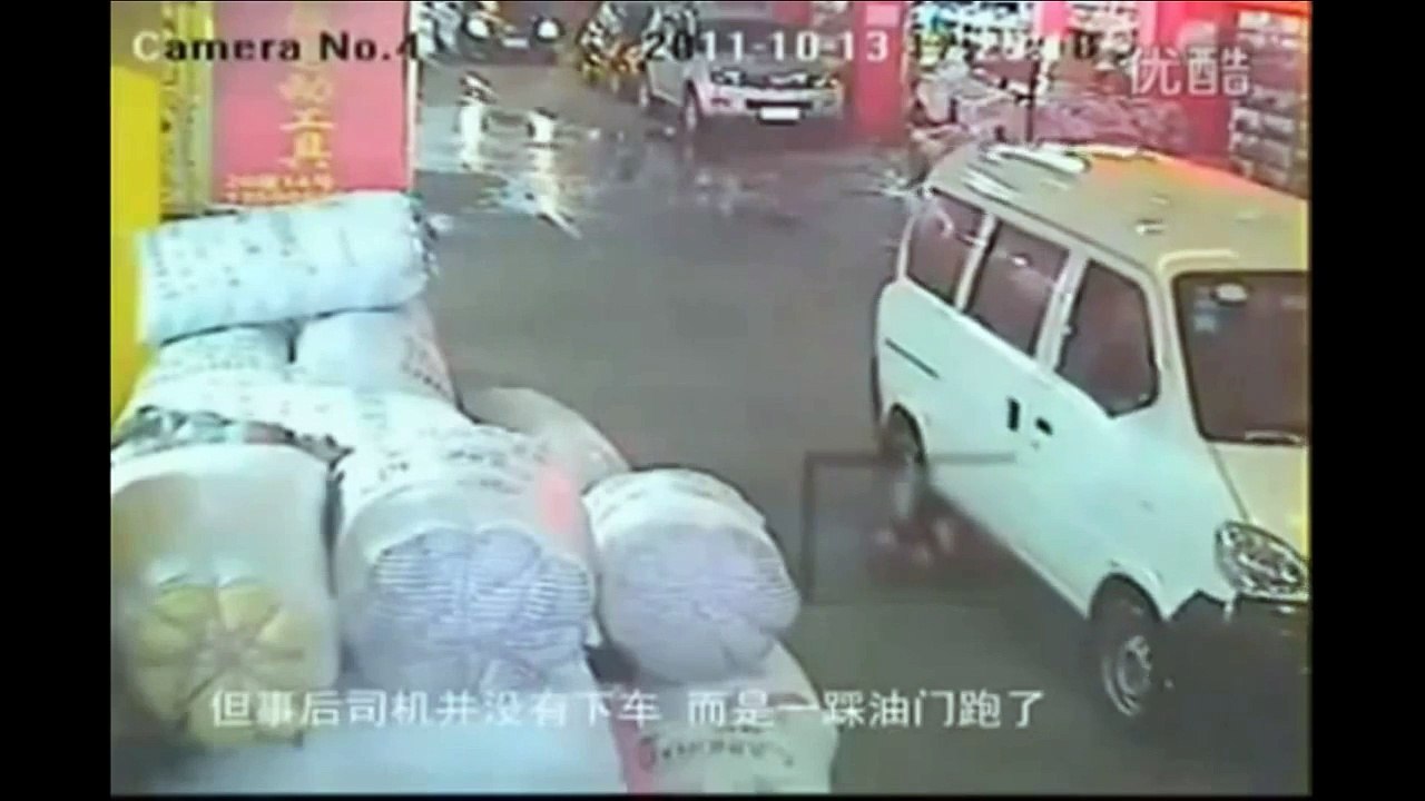 What is the Difference Between Humans & Animals - Have We Lost our Humanity?