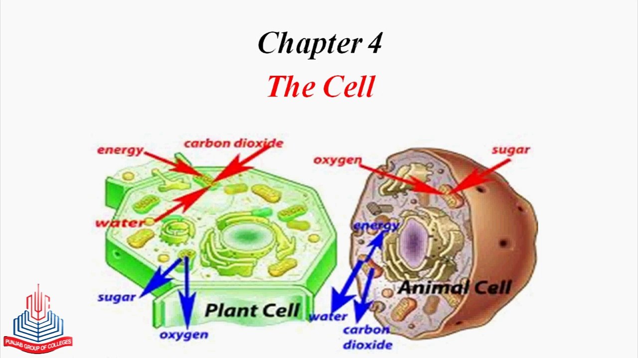 Introduction of cell , Emergence & implication of Cell Theory