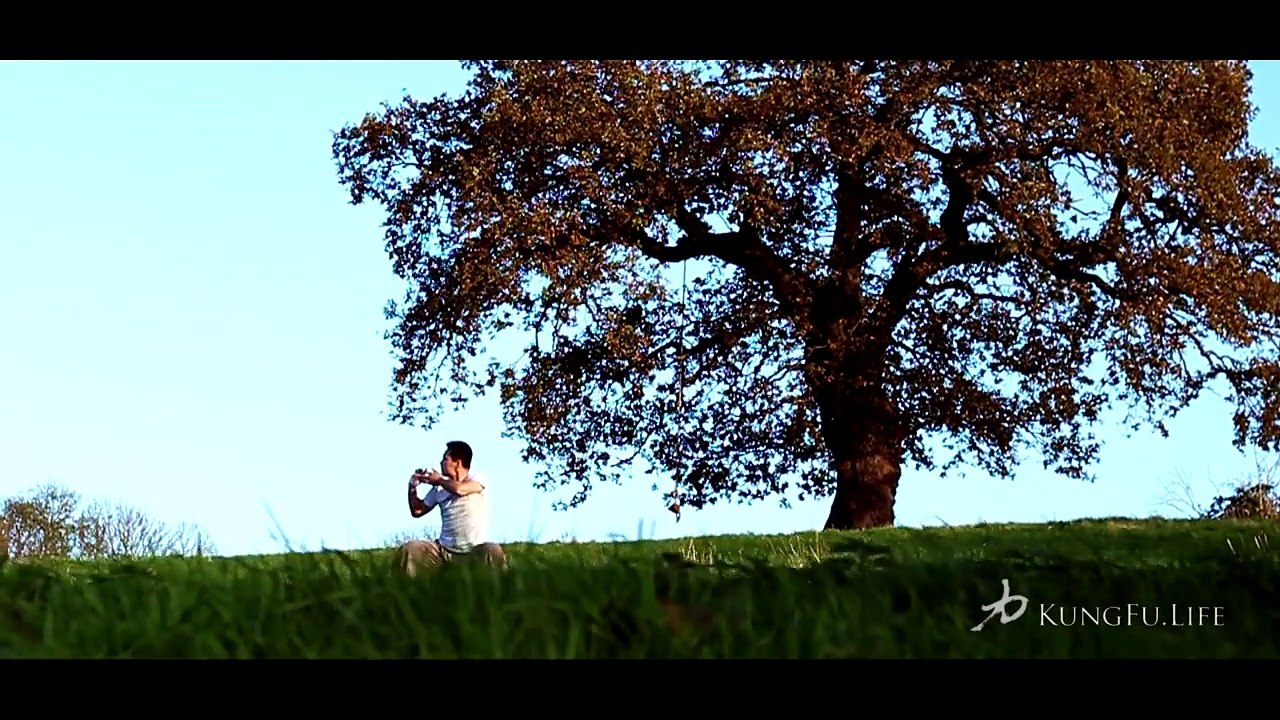 KungFu.Life | Master Kung Fu, Master Yourself, Master Life