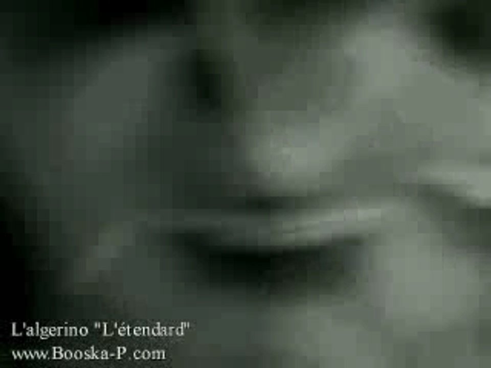 L'Algérino - L'Etendard