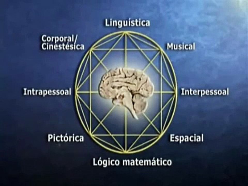 Como funciona o Cérebro?