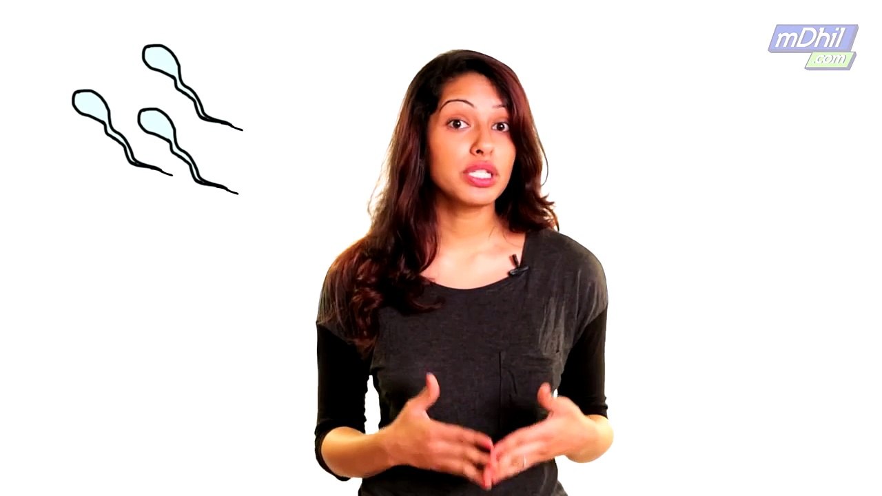 TELUGU: What is the Female Reproductive System