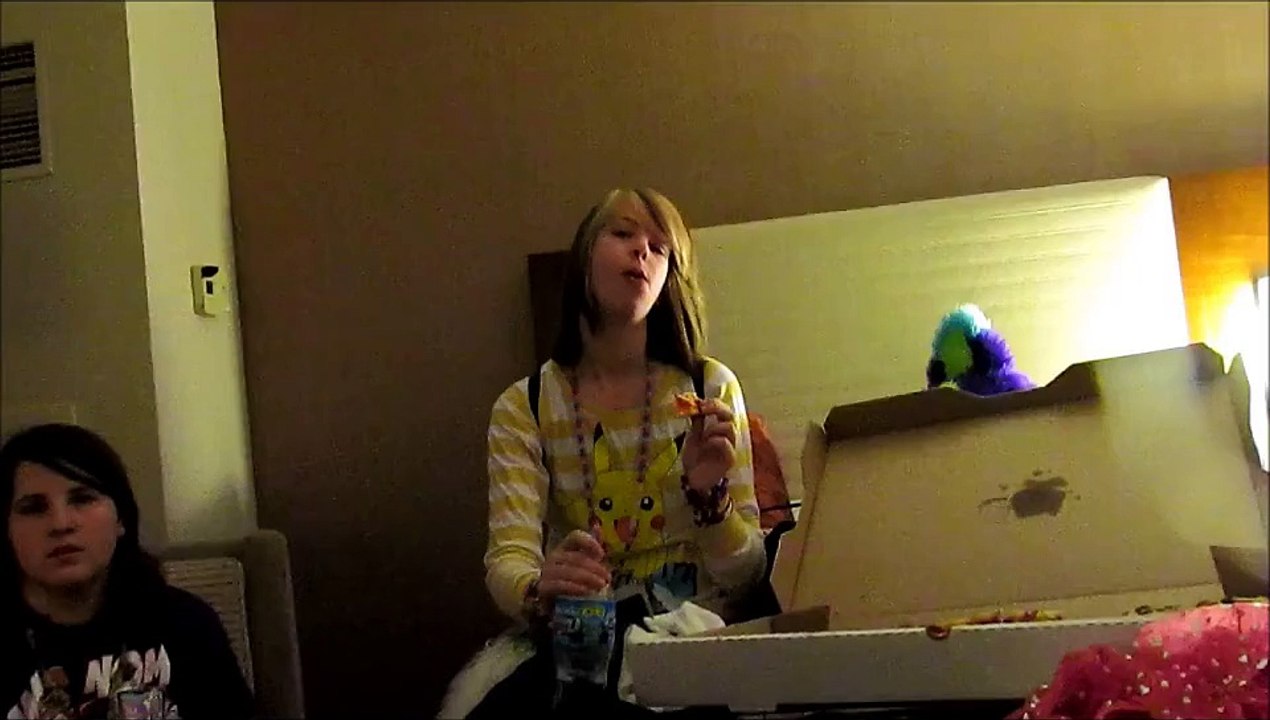 Midwest FurFest 2011