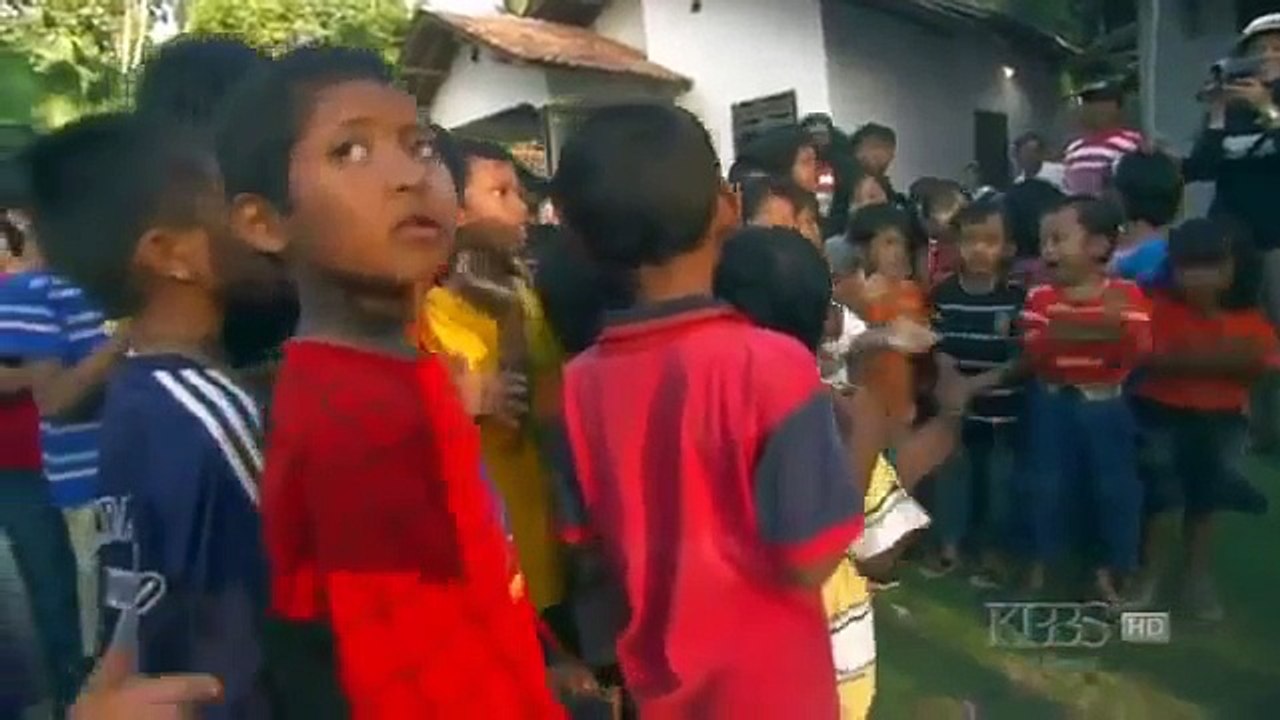 Wildlife Documentaries