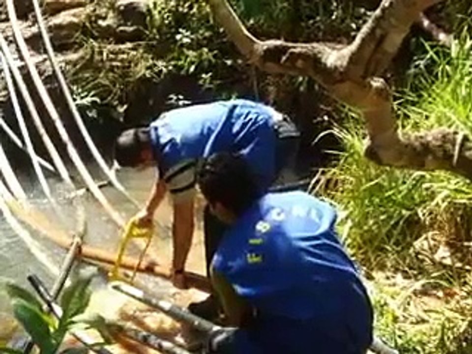 Jornal Local - Ladrões de Água