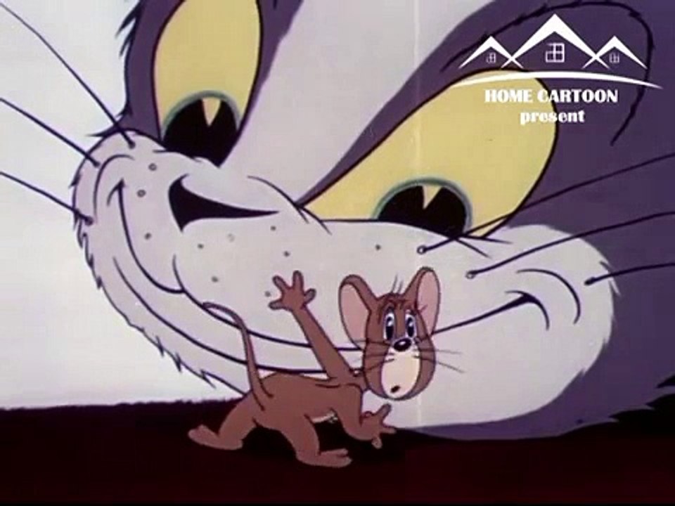 Tom and Jerry cartoon - Tom and Jerry 2015 Hindi