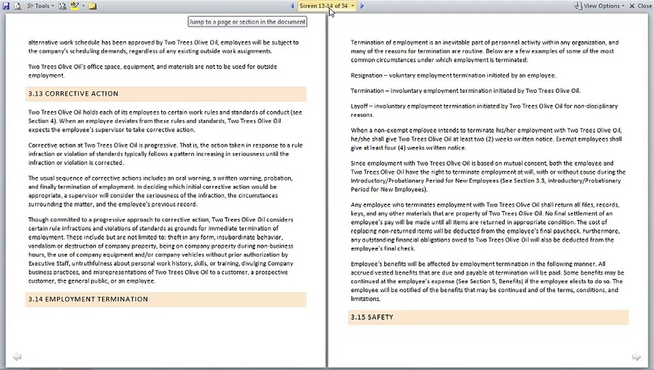 MS Word Using Word's document tools