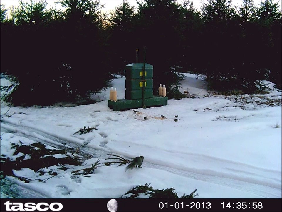 Lyme Disease on Plum Island   Not a  Fringe Conspiracy