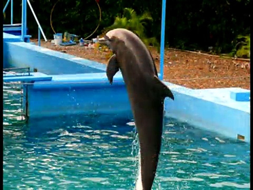 Cool 80's NEW WAVE Rock Vibe...