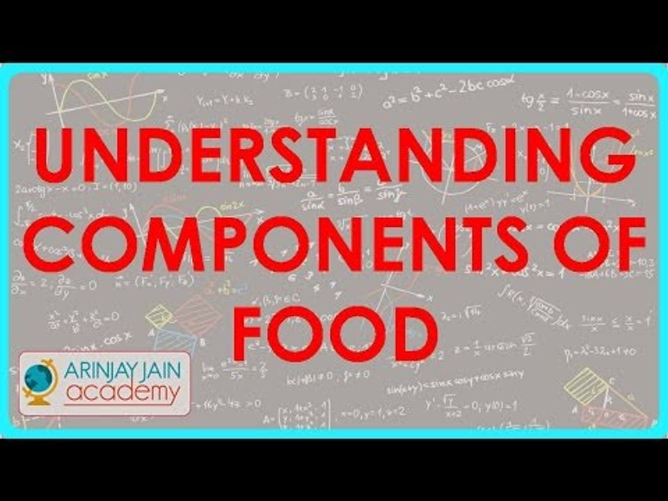 764.Understanding components of Food