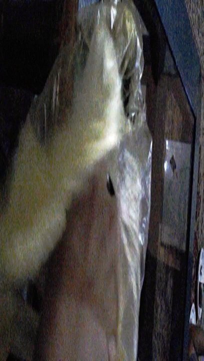 easy and fast lunch and diet