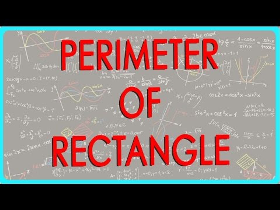 Mathematics Class VI: Understanding the Perimeter of a Rectangle