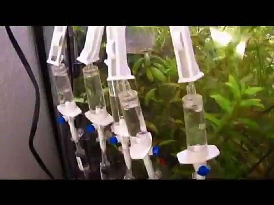 Divisor para Co2, Co2 splitter