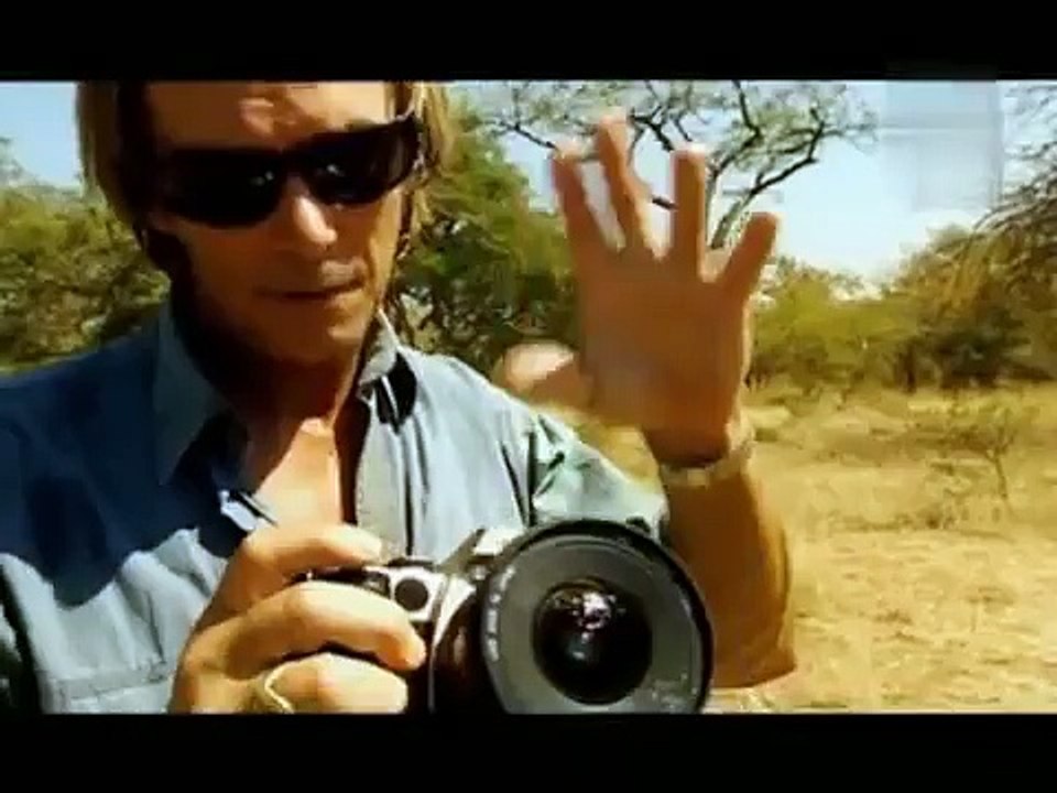 Doku : 7  Schlangen 7 Bisse