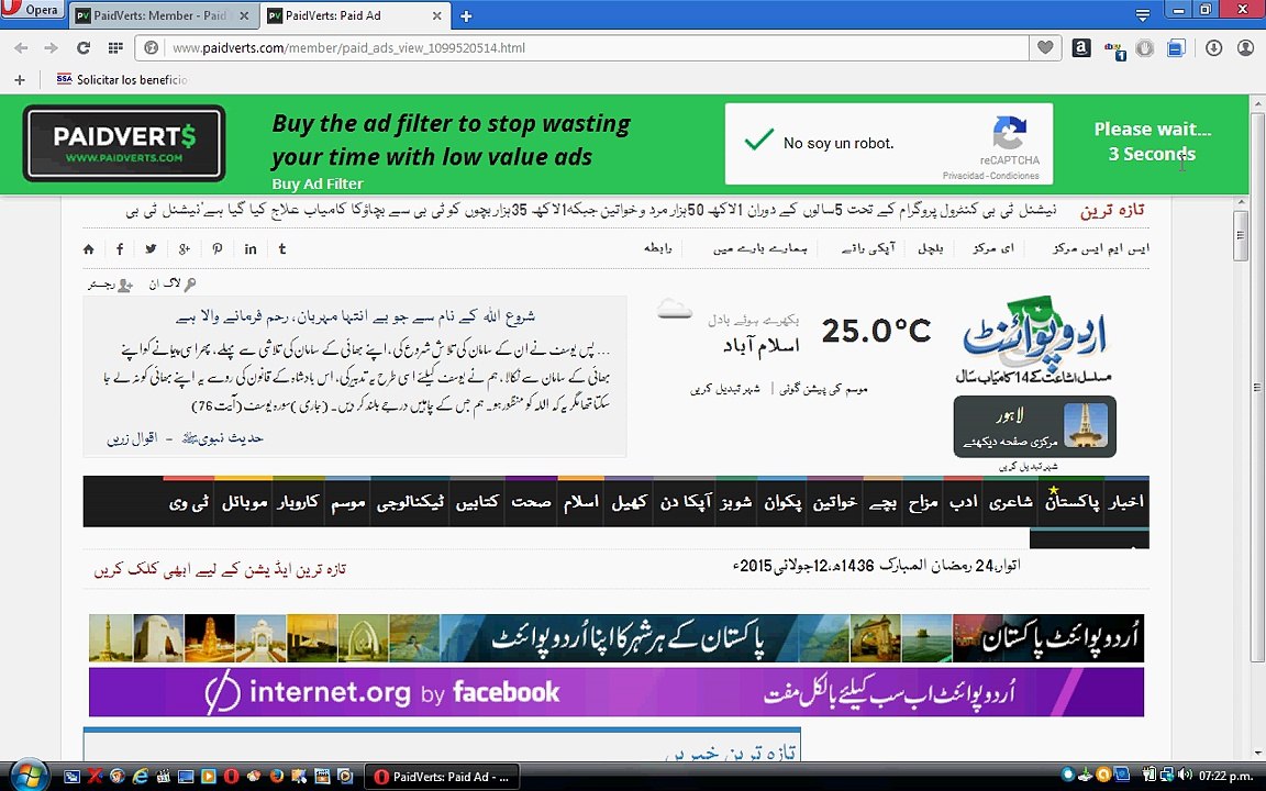 Paidverts introducción Básica...