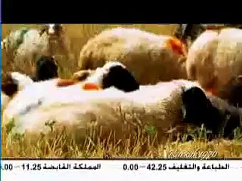 Arab MBC TV  - KURDISTAN 2010 [ FULL REPORTAGE ]