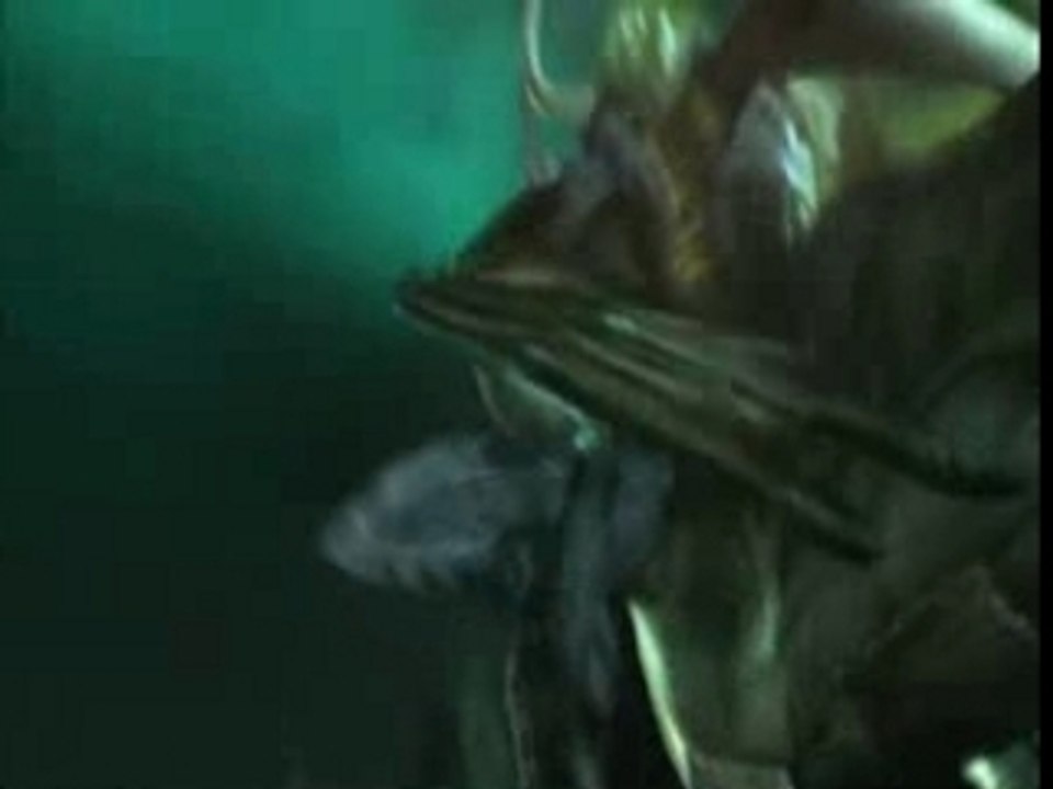 Warcraft 3 musicvideo