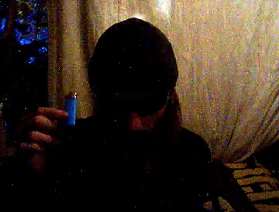 good morning with Brian Schaar  A food forest is what I see