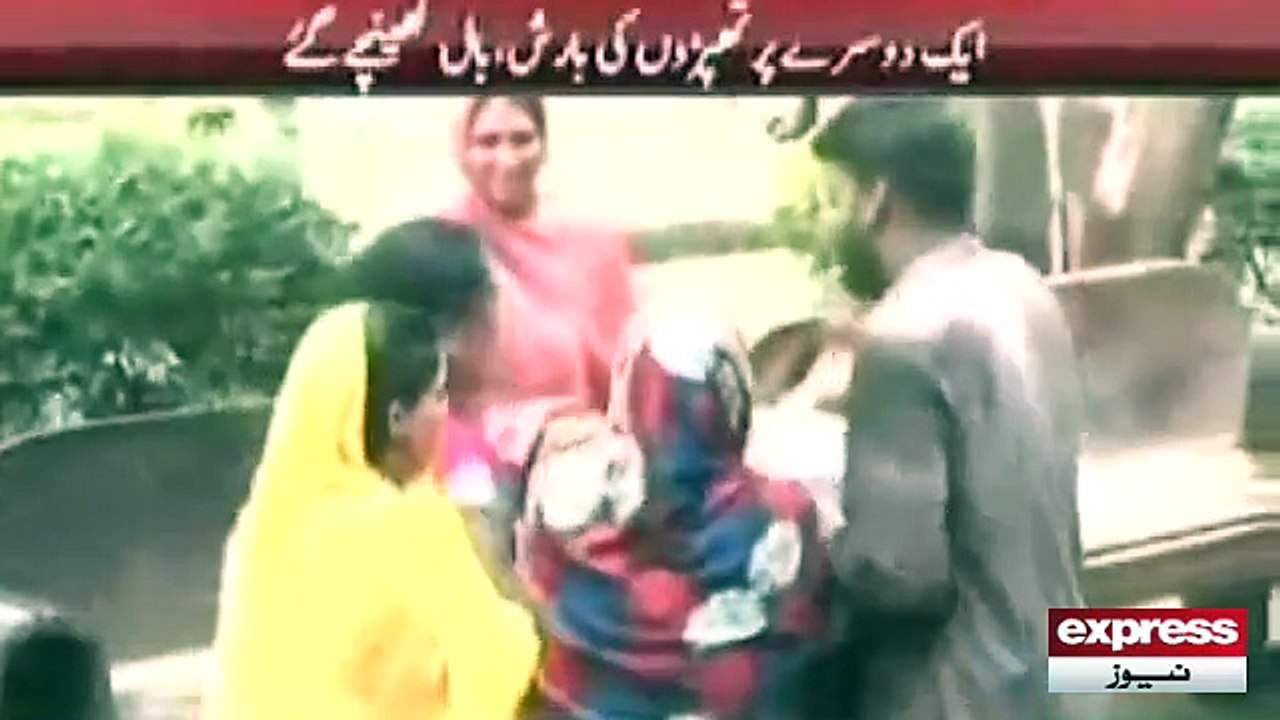 Mother-in-laws Fight