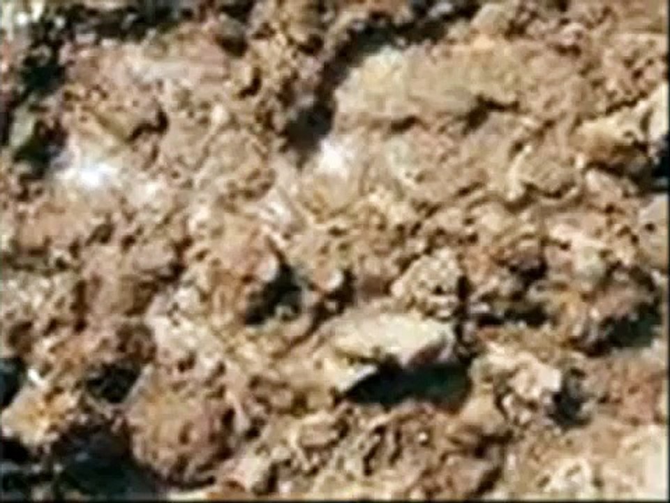 Frei.Wild - Feuer, Erde, Wasser, Luft --- rock on