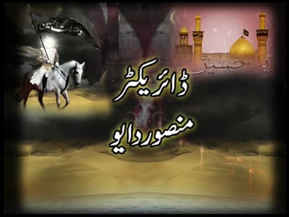 zubair ali ansari 2013