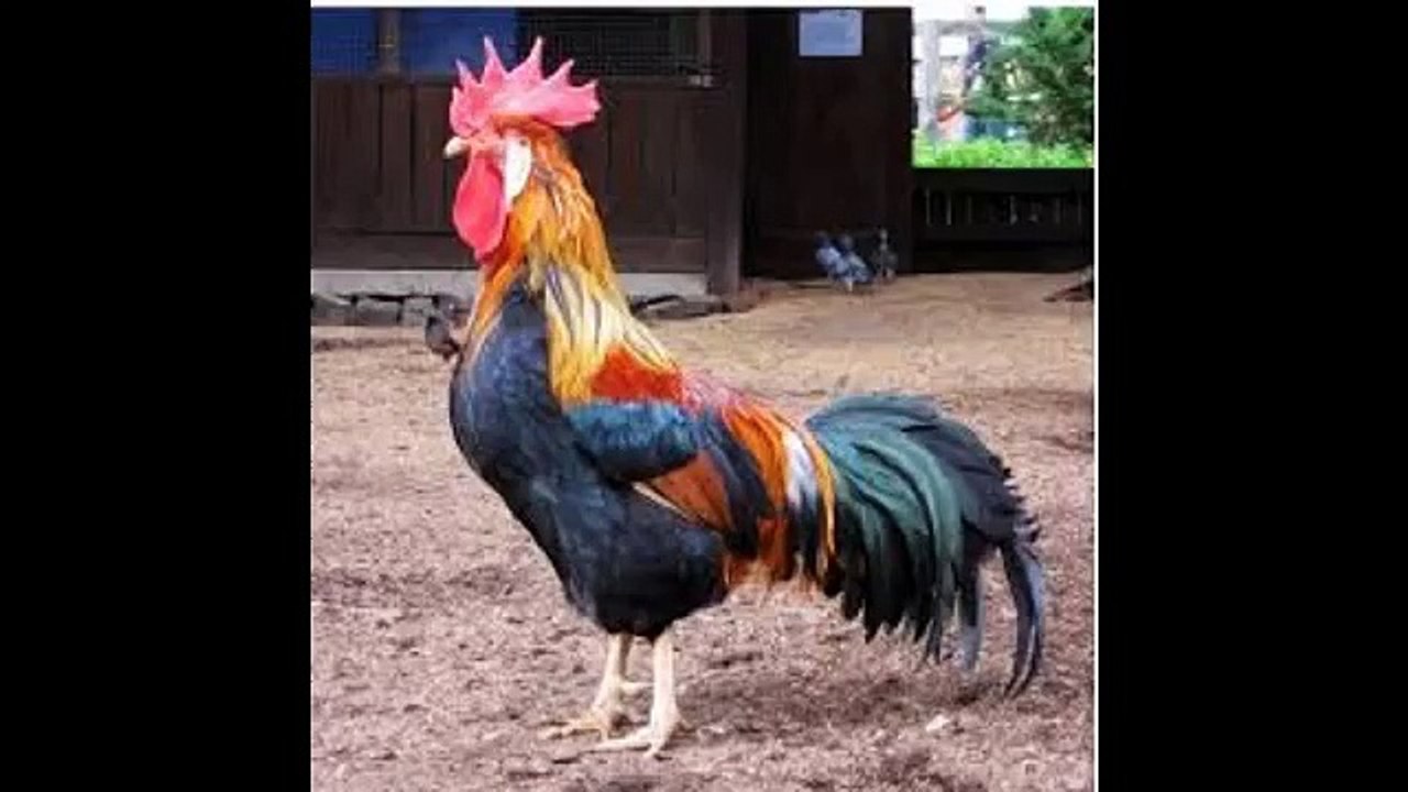 90's Rock Classics Part 2 🎸