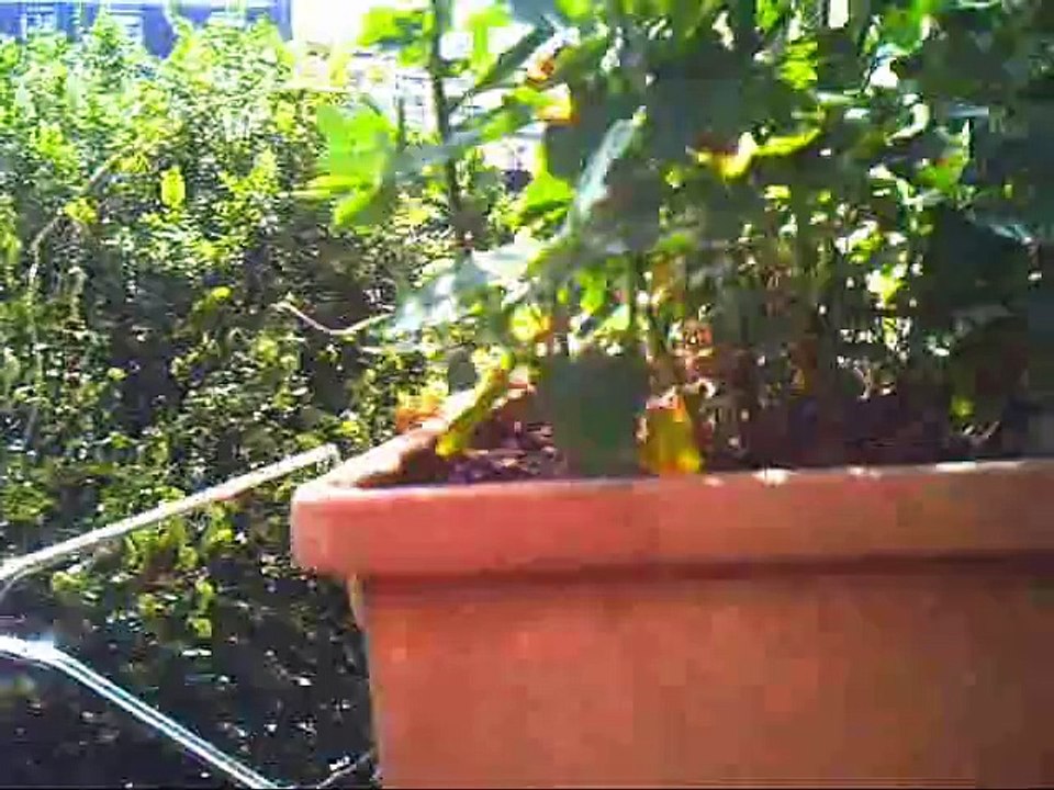 Discovering My True Nature in Daily Life 🌿