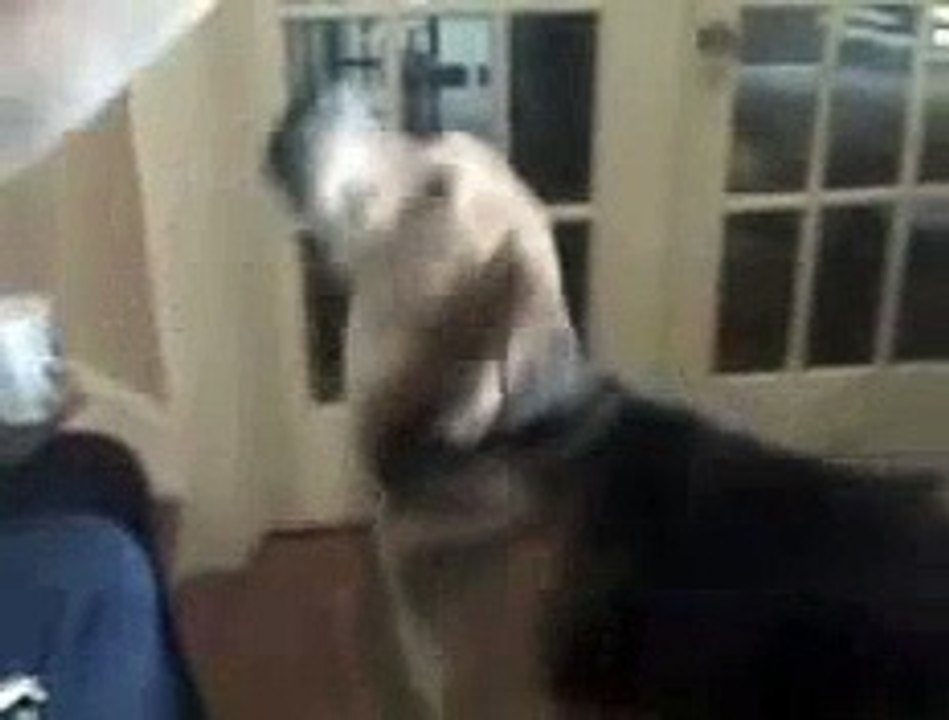 Talking dog says i want some.