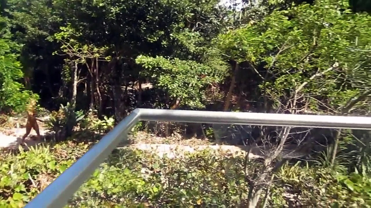 Travel Vlog: Mayan Riviera