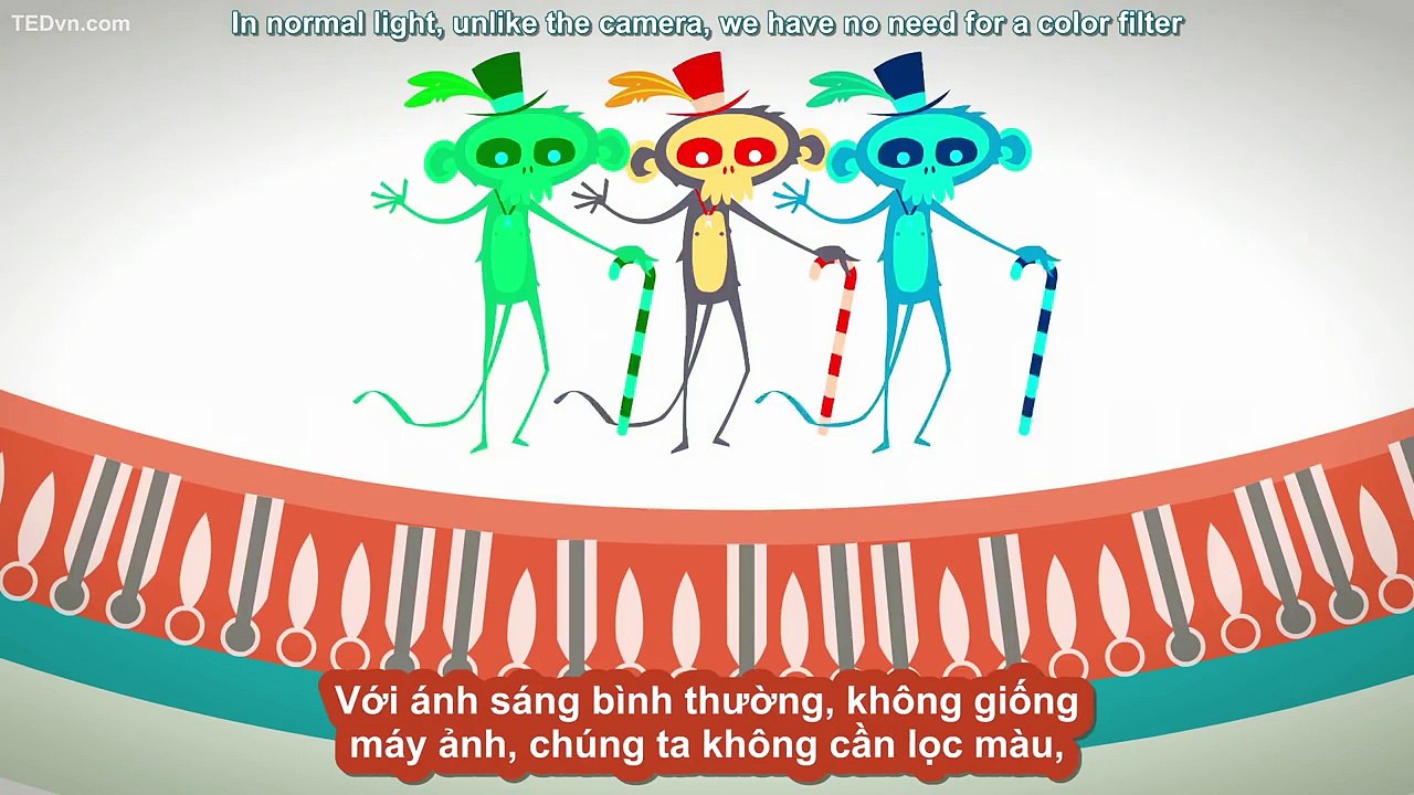 [TED-Ed Vietsub] Mắt vs. camera - Michael Mauser