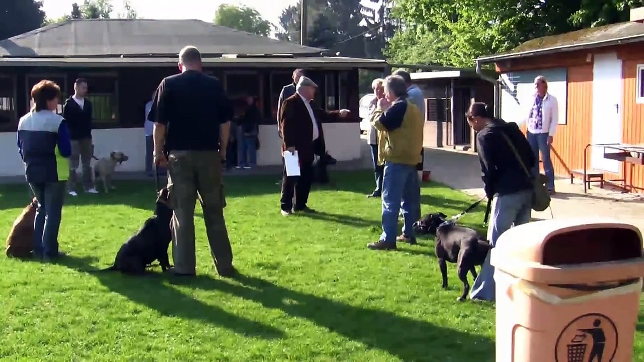 Christel macht den Wesenstest
