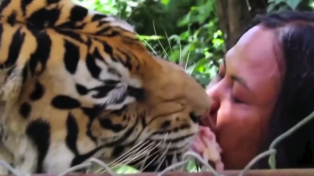 Любовь без границ